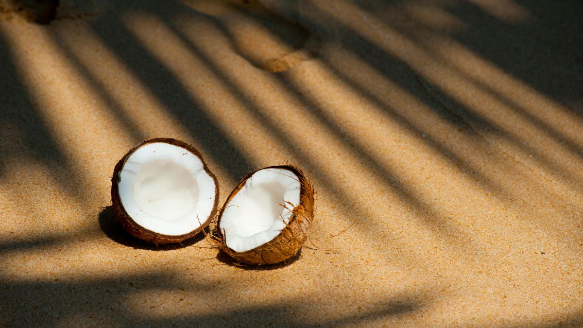 Coco: A água de coco é a repositora oficial de sais minerais, enquanto a polpa fornece gorduras boas que saciam a fome entre as refeições/Pexels