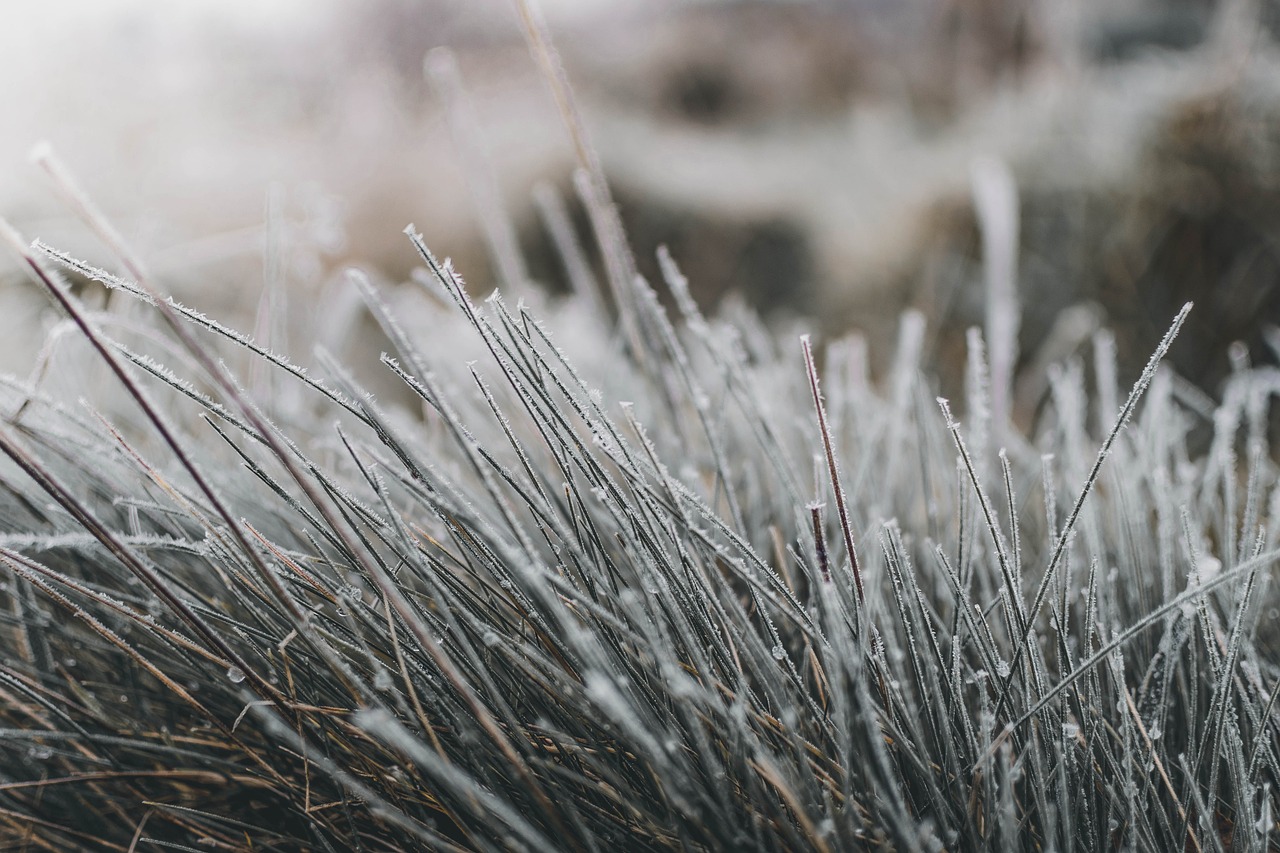 Pai e filho unidos contra o frio: lenha, forno a madeira e até cinco horas de preparo para garantir um banho por semana no coração da Sibéria/Pixabay
