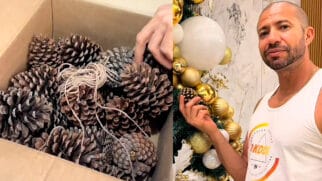 O episódio surgiu quando Elaine comprou mini pinhas para decorar a casa para o Natal.