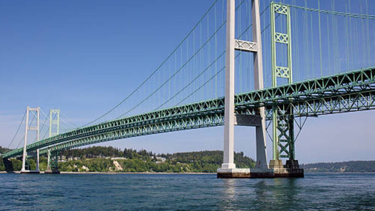 Após um colapso cinematográfico, os escombros de aço no fundo do mar deram origem a um ecossistema surpreendente que agora luta para sobreviver.