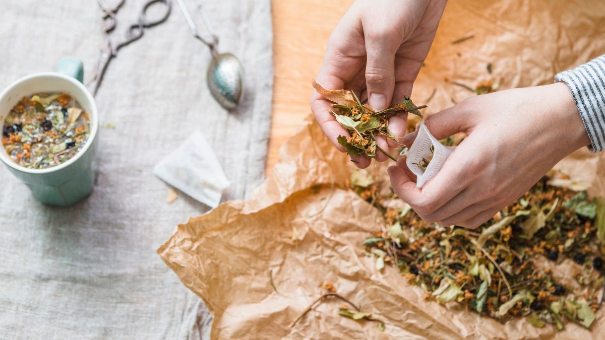 Entenda por que usar ervas como alecrim e manjericão pode ser a chave para um 2026 mais leve e protegido