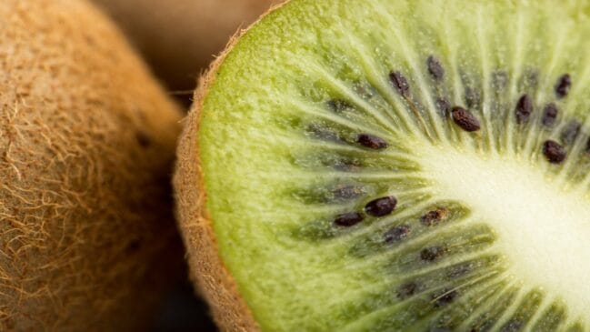 Kiwi reconhecido por autoridades europeias