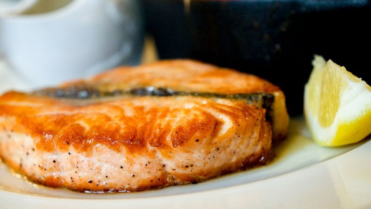 Além disso, ele é um peixe costeiro encontrado nas baías, costões e próximo a ilhas (Krisztina Papp/Pexels/Imagem Meramente Ilustrativa)