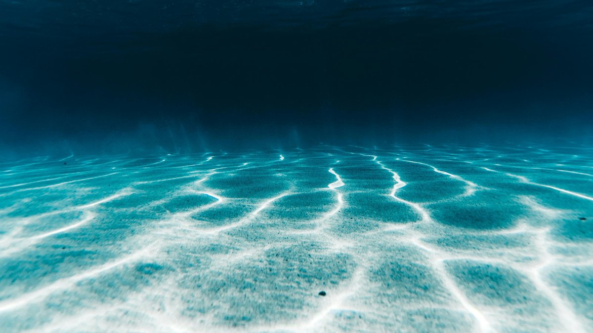 A maior parte do fundo do mar permanece inexplorada, escondendo espécies ainda desconhecidas / Pexels