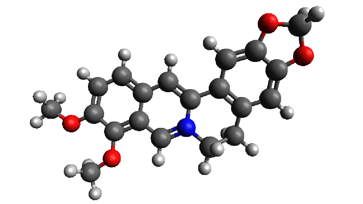 Entenda funcionamento da molécula de berberina
