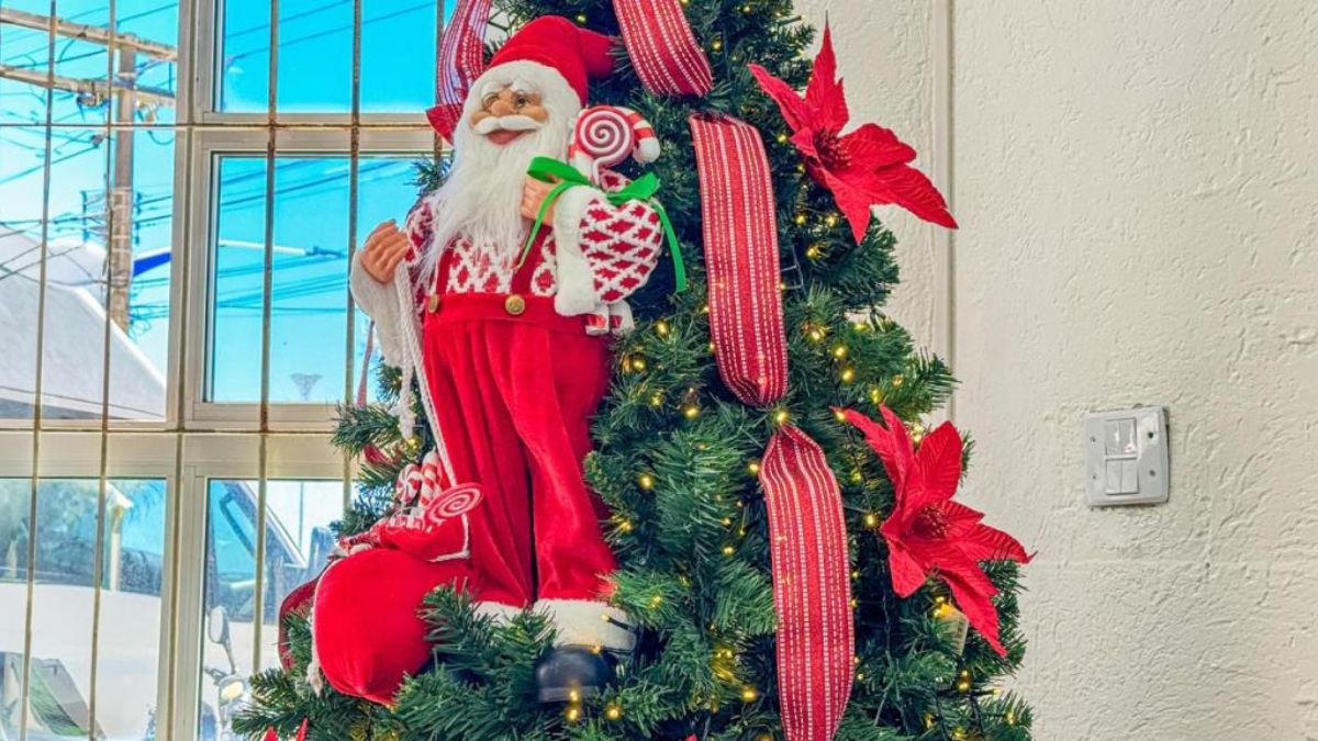 O evento de Mongaguá reunirá música, dança e muito espírito natalino