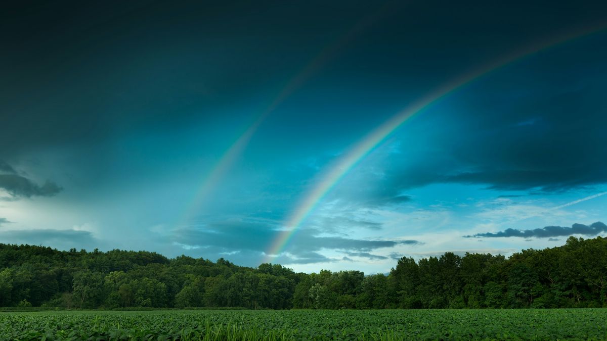 Peixes + Verde-água / O verde-água simboliza sensibilidade, cura emocional e renovação. Para 2026, o Tarot indica um período de equilíbrio interno, fortalecimento da intuição e novos começos com mais leveza e consciência/Unsplash
