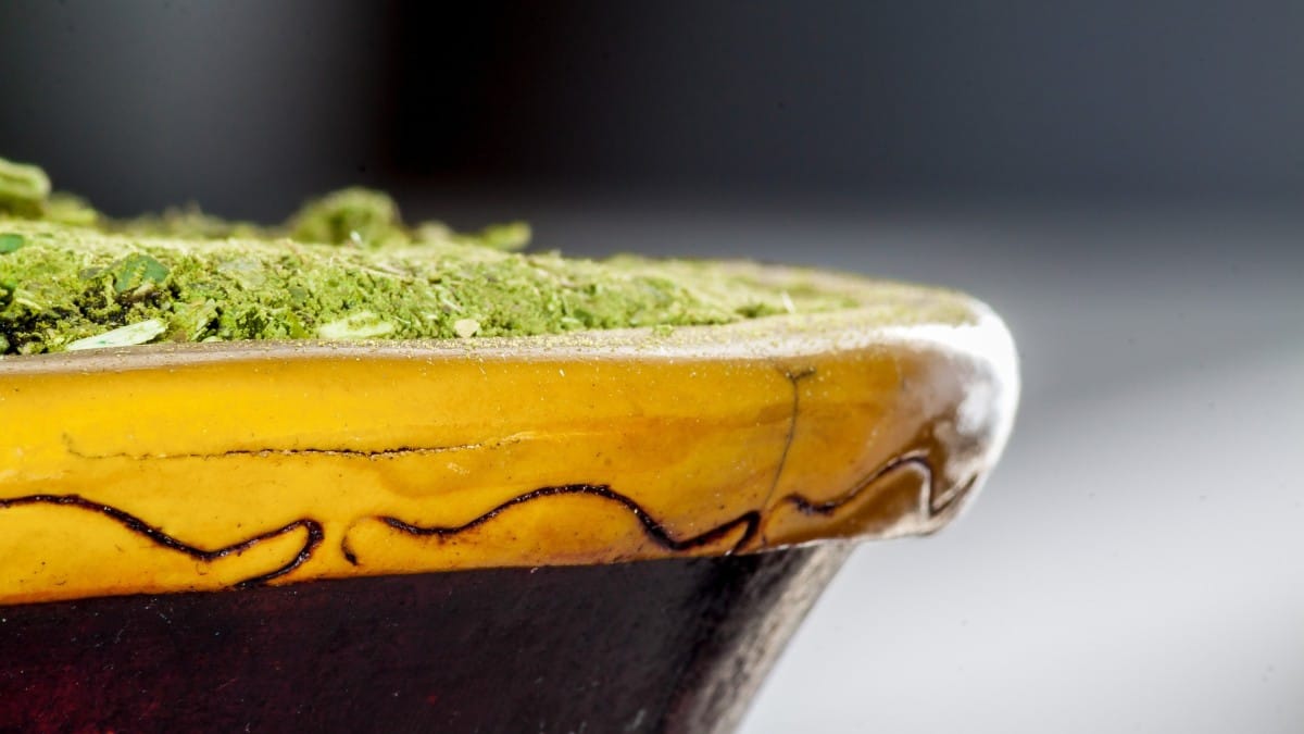 Mate é lei: você vai ver gente com garrafa térmica e cuia em todo lugar. É um ritual sagrado / Pixabay