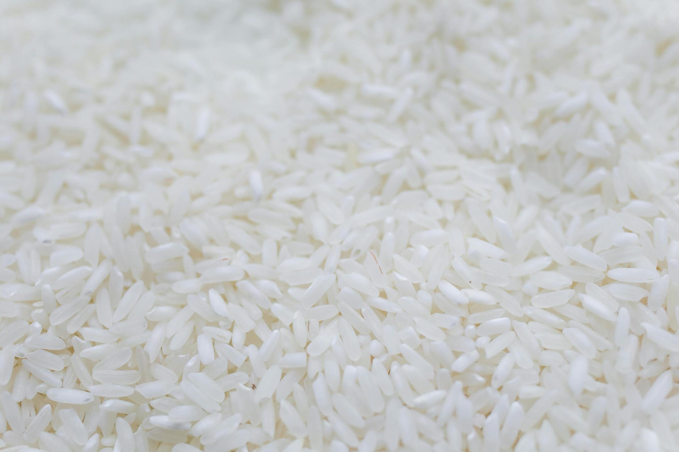 Cachoeira do Sul volta aos holofotes após morador ganhar quase R$ 15 milhões na Mega-Sena e reacende o interesse por sua força agrícola - Pexels
