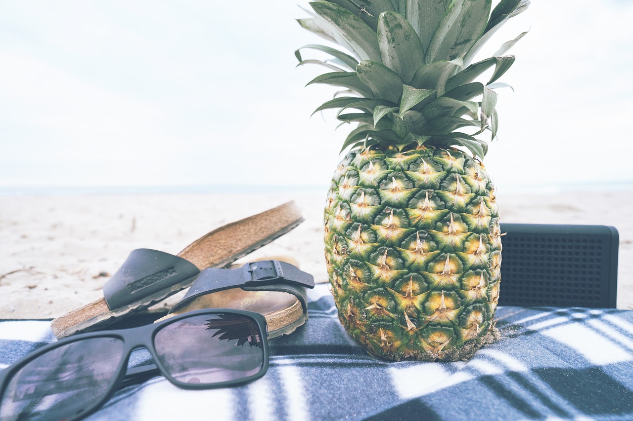 Frutas frescas e água gelada são aliadas essenciais para manter a hidratação sob o sol/Pixabay
