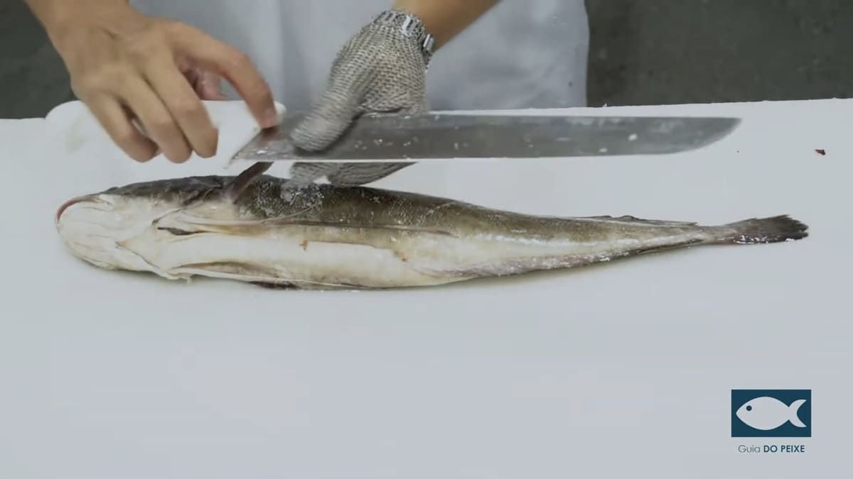 O Bacalhau é considerado um dos peixes mais caros do mercado, e o motivo que faz ele chegar a este valor são os maiores (Reprodução/YouTube)