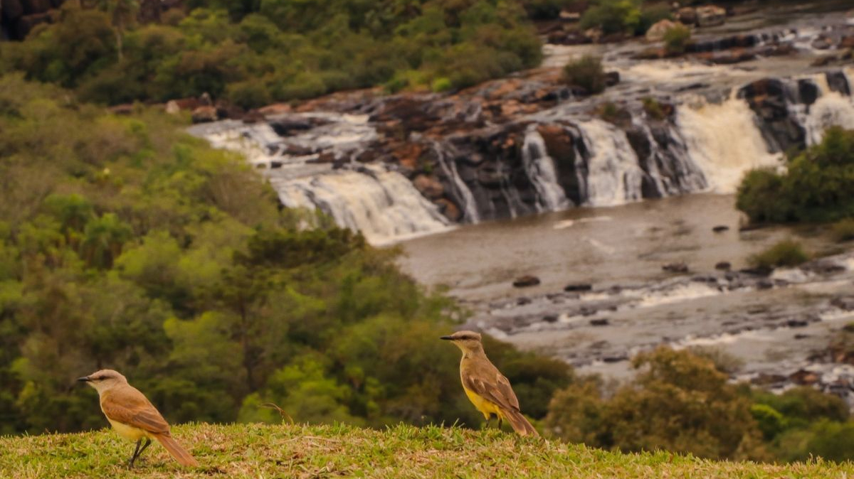 Entre os atrativos, estão observatório de pássaros, paredões rochosos, piscina natural e três ilhas / Divulgação/Parque das Quedas