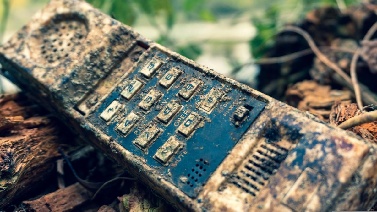 Microplásticos já foram encontrados em peixes, sal e até na água potável consumida diariamente / Pixabay