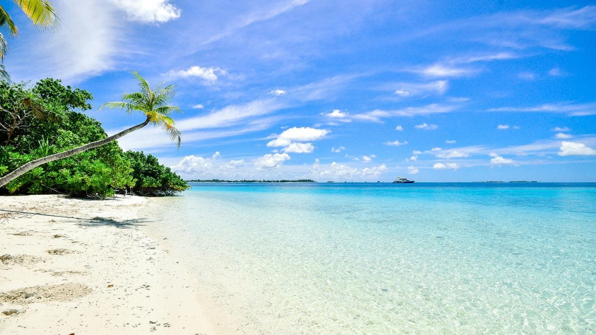 Destinos como Guarajuba e Itacimirim reafirmam o compromisso com a preservação e o turismo sustentável/Pexels