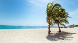 A Bahia consolidou sua soberania no turismo litorâneo brasileiro