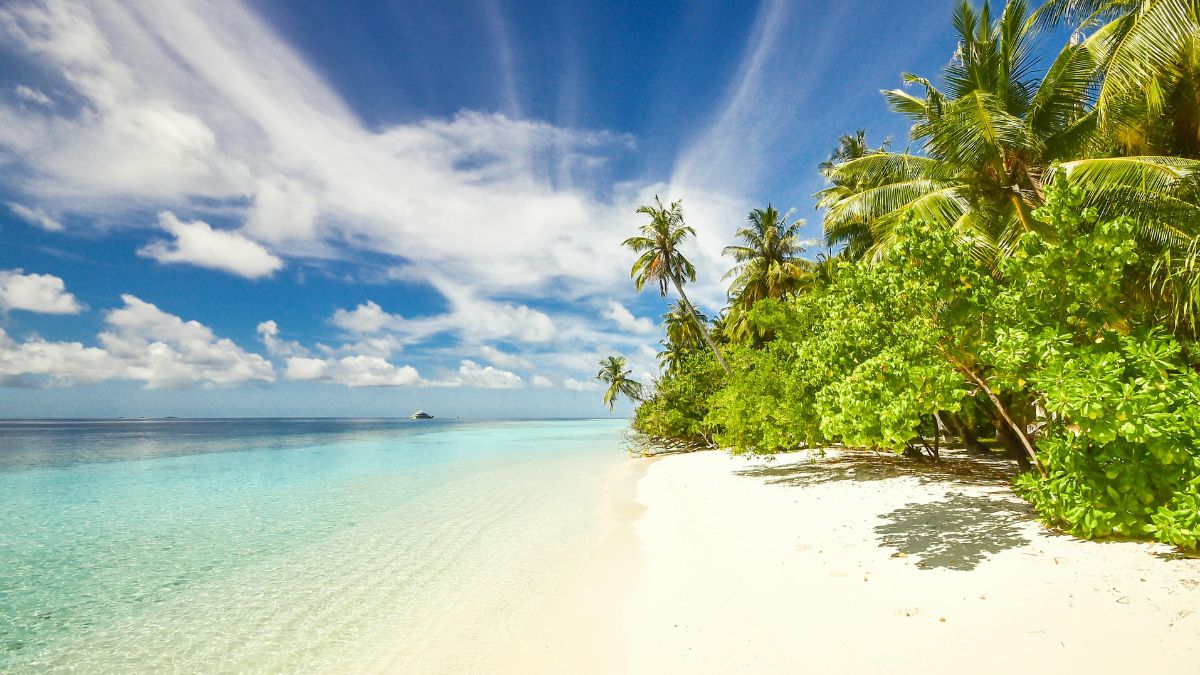 Ao todo 50 praias brasileiras foram certificadas mas a Bahia lidera em excelência no topo do ranking oficial/Pexels