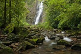 Guaraqueçaba (PR) Trilha das Brincadeiras, na Reserva Natural Salto Morato