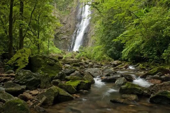 Guaraqueçaba (PR) Trilha das Brincadeiras, na Reserva Natural Salto Morato