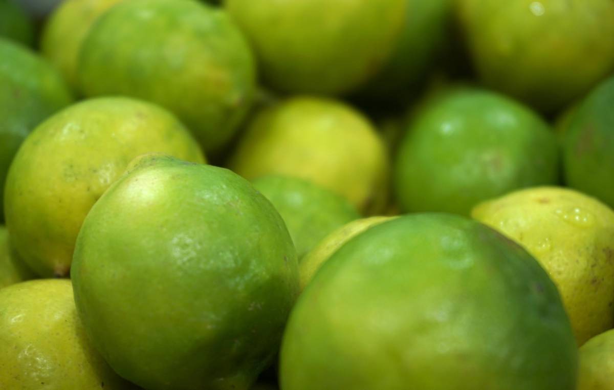 Suco de OPN com limão: fibras, saciedade e nutrientes que ajudam no controle do colesterol e apoiam uma rotina mais saudável/Pexels