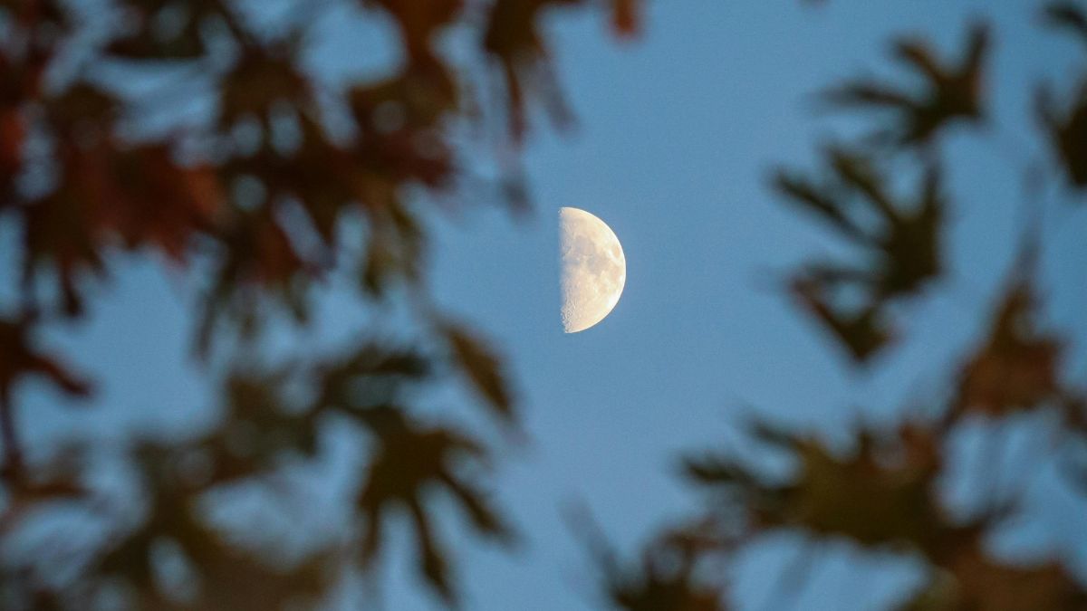 Número 9 Rosa: Está ligado à sensibilidade, empatia, encerramentos e recomeços/Pexels