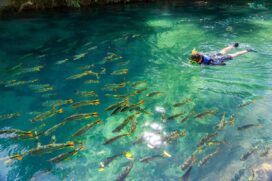 Bonito (MS) é um dos principais polos de ecoturismo do Brasil