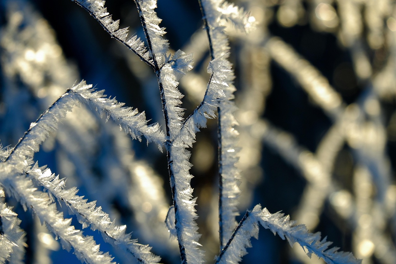 Um contraste extremo: do vapor a mais de 70 °C direto para o ar congelante da Sibéria. Em Yakutia, o choque térmico faz parte da rotina/Pixabay