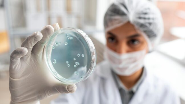 Entenda o que cientista irão fazer com fungo que afeta pessoas internadas