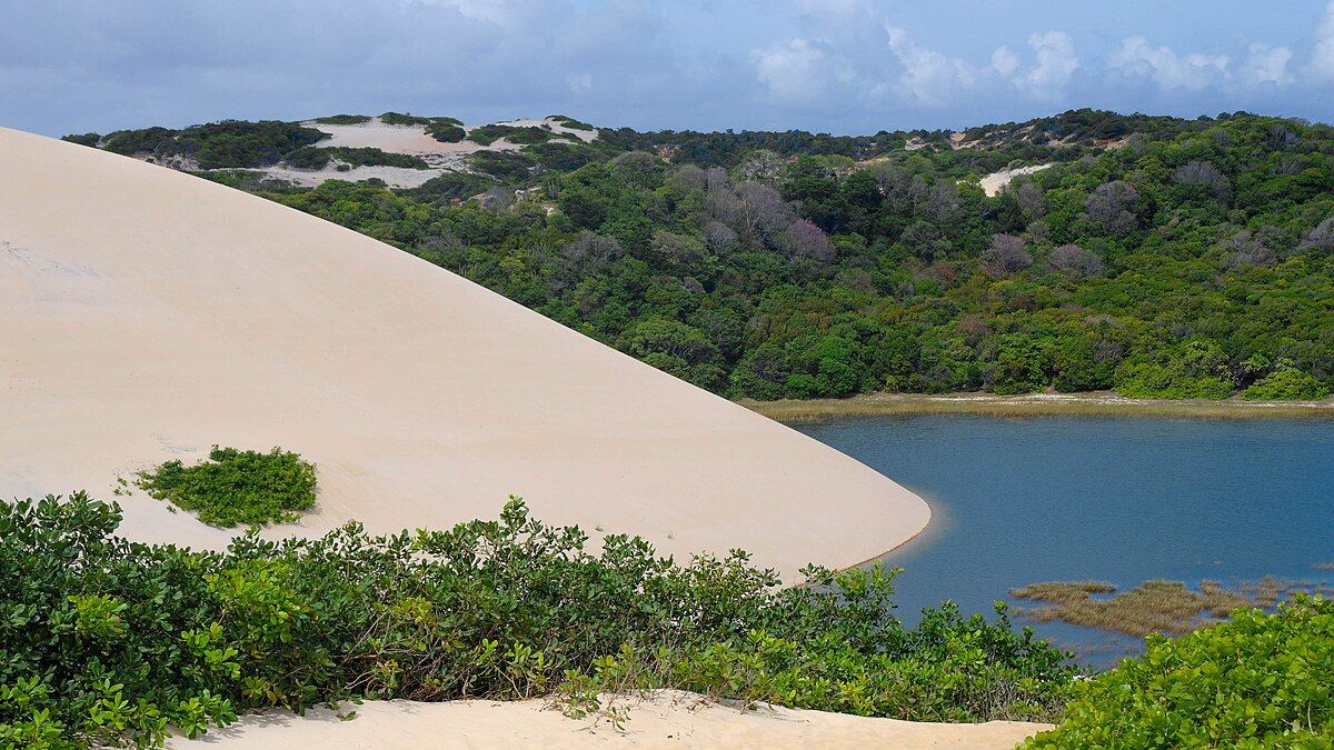 Um dos grandes diferenciais de Genipabu é que suas dunas não são estáticas / Foto: ReginaFaig/Wikipédia