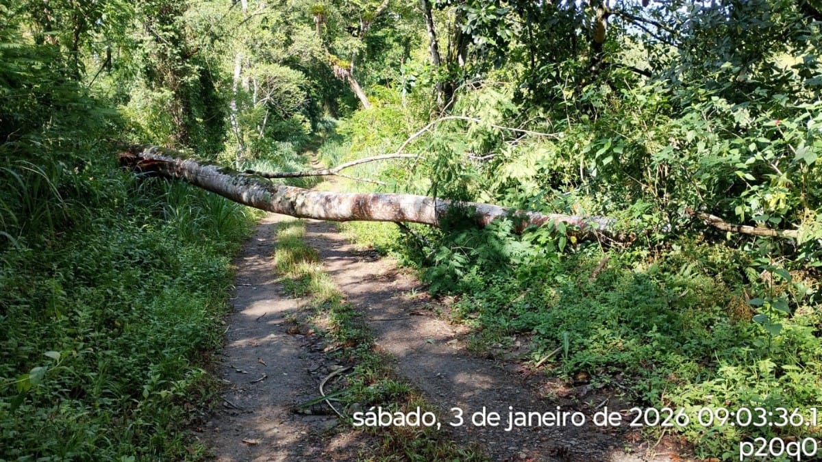 Dia 03 - Rua São Francisco, Fazenda São José - Via e Rede / Defesa Civil