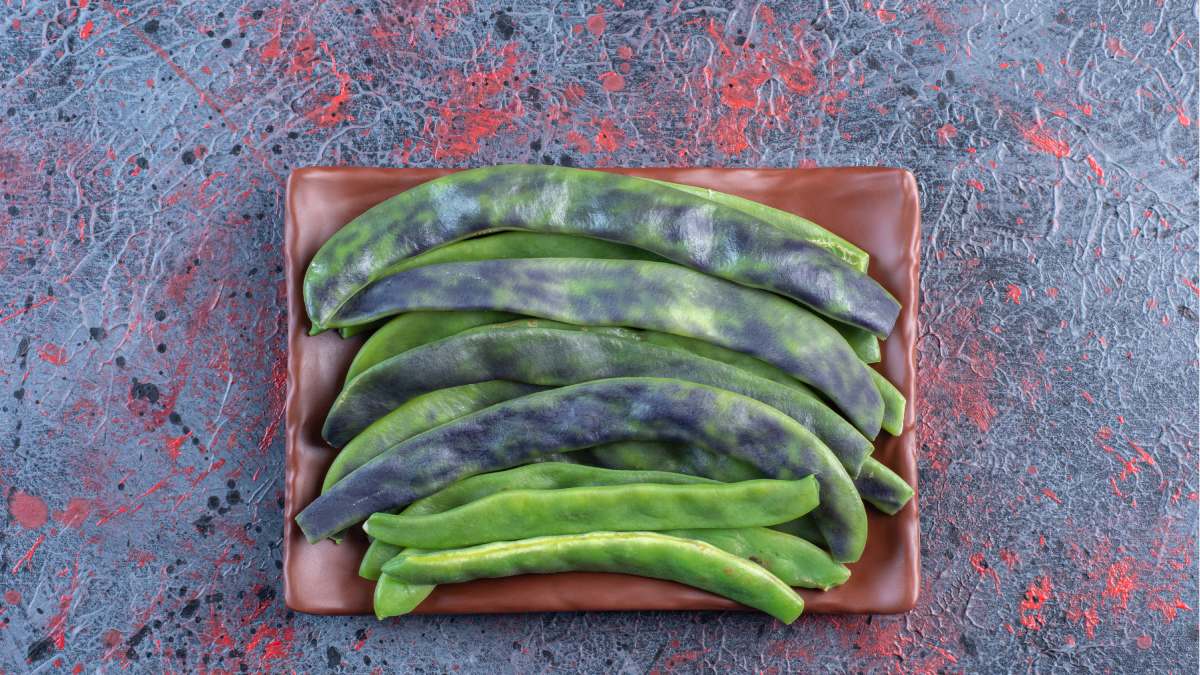 Entenda como o espinafre, o salmão e as frutas vermelhas mantêm suas propriedades no gelo