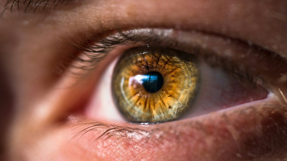 Uso de telas por mais de duas horas ao dia, cirurgias oculares e algumas doenças crônicas estão entre os fatores associados à Síndrome do Olho Seco. Unsplash/Joel Staveley