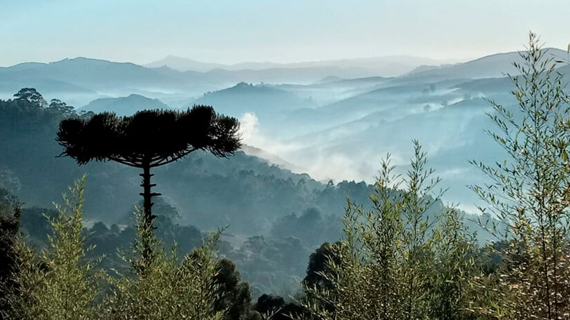 Chalés rústicos e ruas tranquilas criam um ambiente romântico e acolhedor. Divulgação/Prefeitura Camanducaia