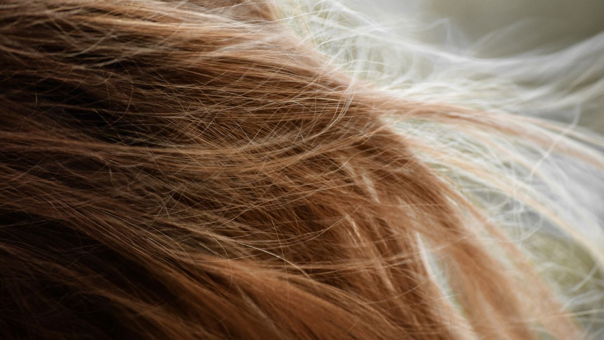 Loiro mel é a escolha ideal para peles oliva e subtons dourados. A tonalidade quente traz brilho, suavidade e um efeito naturalmente mais jovem. Unsplash/Taylor Smith