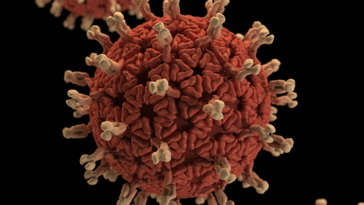 O vírus Nipah pode causar infecções inflamatórias agudas e encefalite, sendo transmitido tanto entre humanos quanto por animais, como morcegos e porcos. Unsplash/CDC