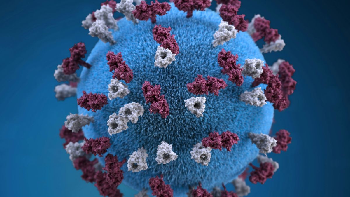 Diante do avanço do surto na Índia, países vizinhos entraram em alerta para evitar a possível disseminação do vírus e reforçar medidas de segurança sanitária. Unsplash/CDC