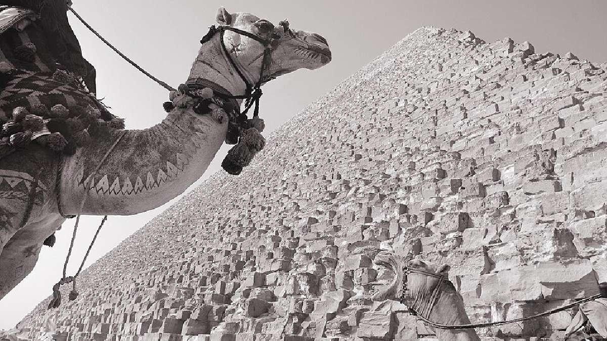 Pesquisador italiano desafia egiptologia tradicional com dados sobre desgaste