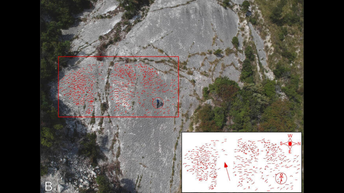 A hipótese central é que um abalo sísmico tenha provocado um deslizamento minutos após a formação das marcas / Montanari et al./Cretaceous Research, 2025