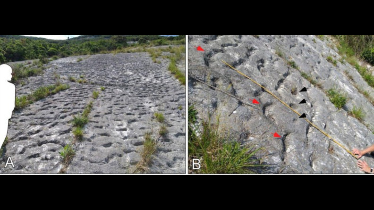 O calcário fazia parte de uma avalanche subaquática de lama, provavelmente desencadeada por um terremoto / Montanari et al./Cretaceous Research, 2025