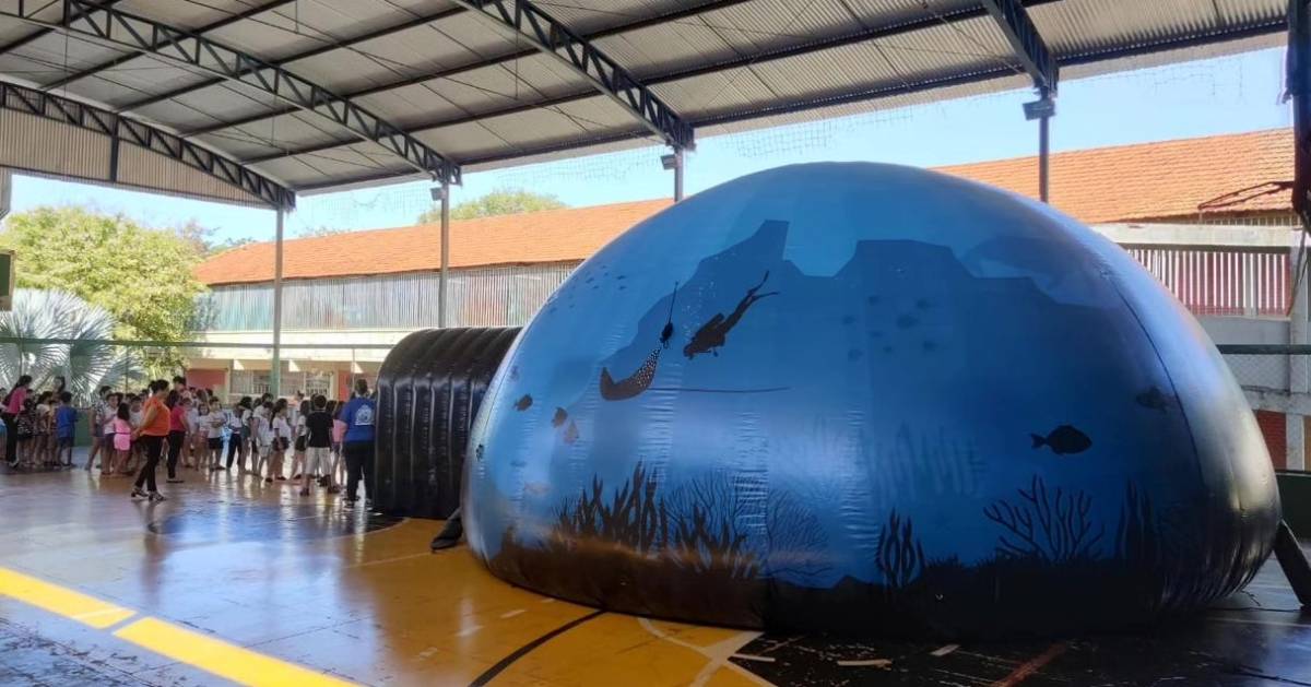 A proposta é reunir educação ambiental, arte, ciência e economia criativa em um dia de celebração da cultura costeira