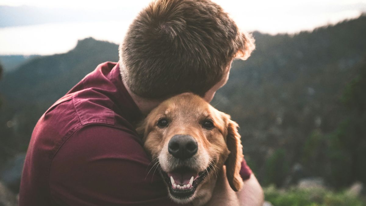 Estímulos físicos e mentais são essenciais para a saúde emocional dos animais: A ausência de passeios, brincadeiras e interação pode resultar em estresse, ansiedade e comportamentos indesejados. Unsplash/Eric Ward
