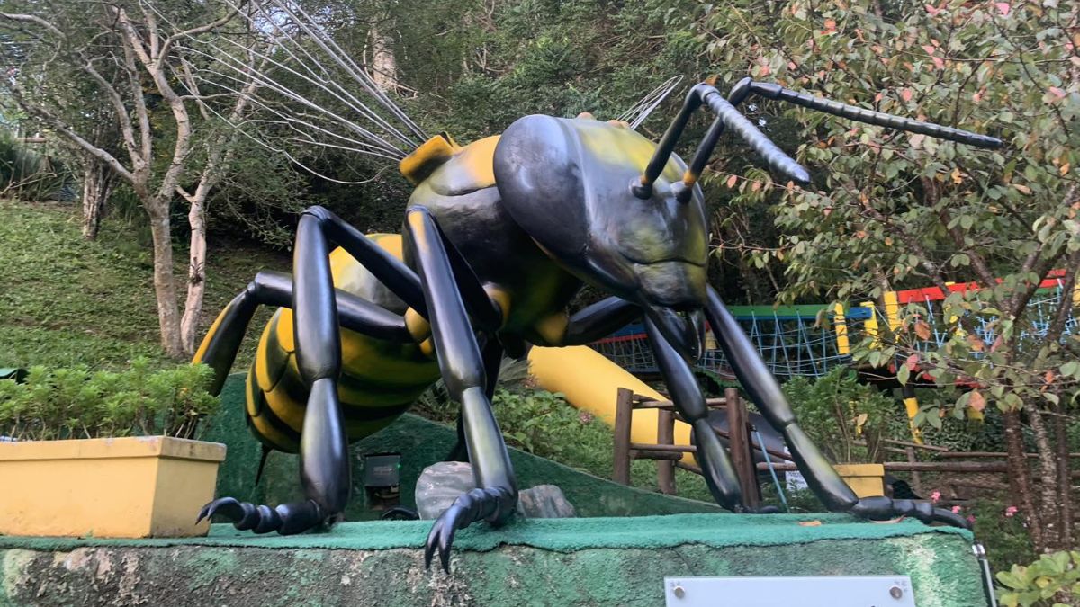 Cidade das Abelhas, parque ecológico em Embu das Artes que une lazer ao ar livre e aprendizado sobre a importância das abelhas para o meio ambiente