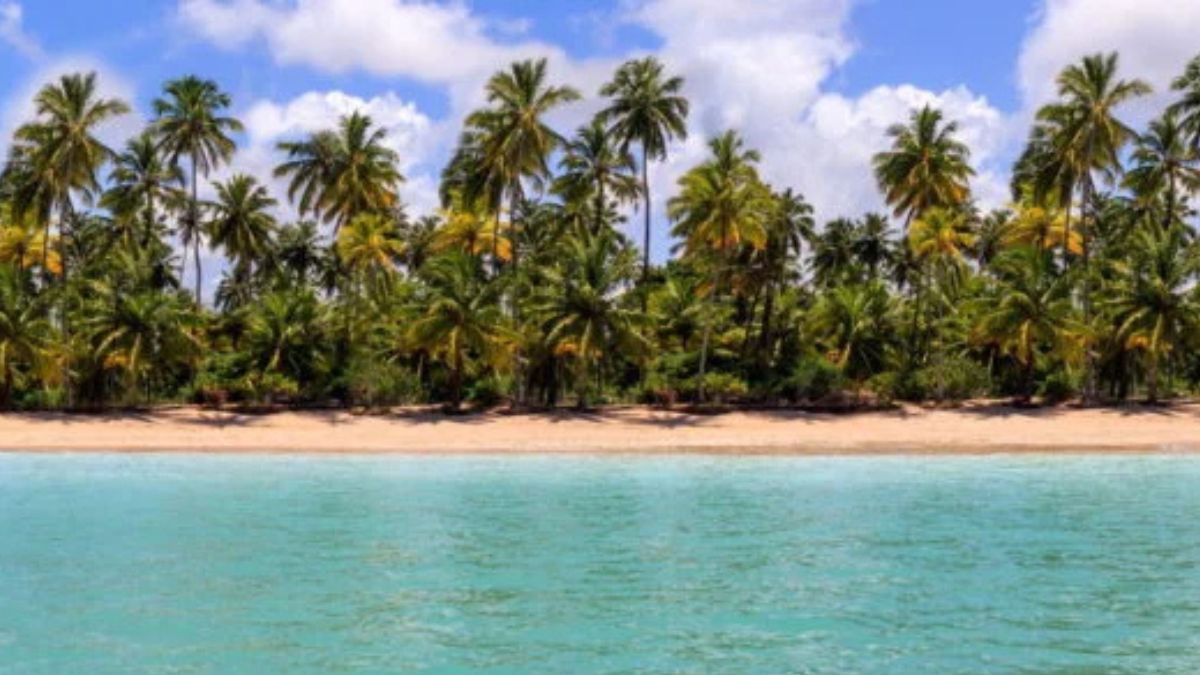 O "Caminho de Moisés" é uma trilha de areia que surge no oceano durante a maré baixa.