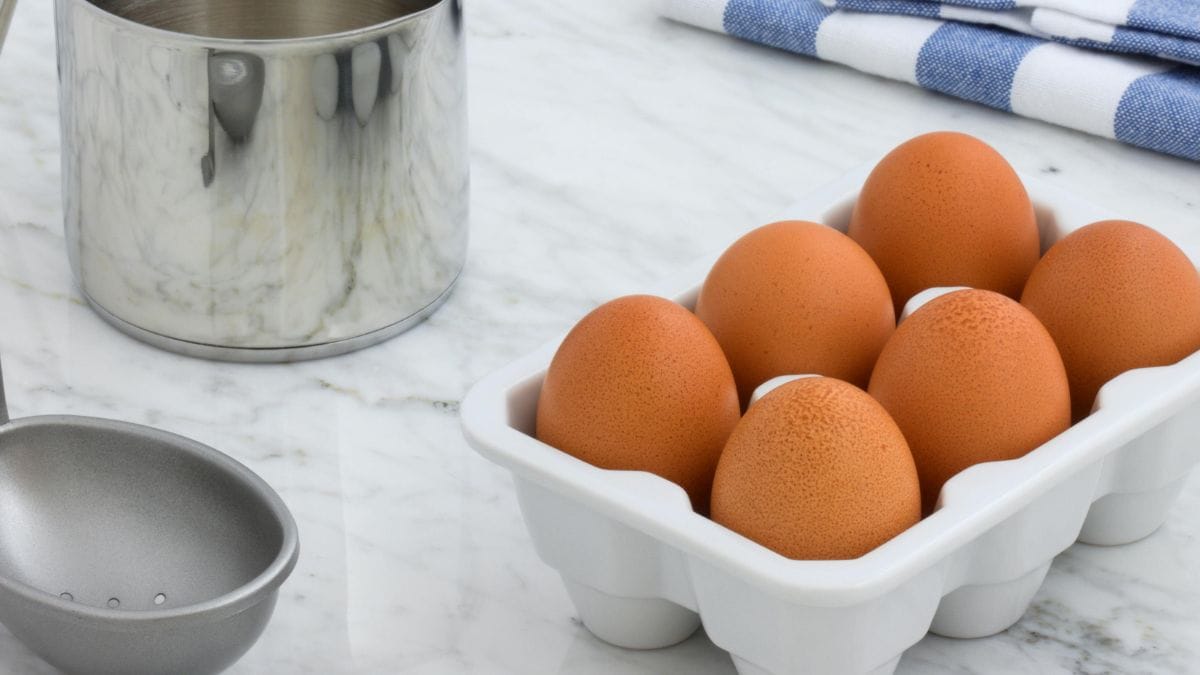 A crença de que ovos marrons são mais saudáveis é um mito: a diferença de cor depende apenas da raça da galinha. /Pexels