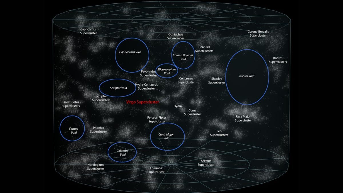 Representação da teia cósmica mostra como grandes vazios se intercalam entre filamentos densos de matéria no Universo observável/ Azcolvin429/Wikimedia Commons