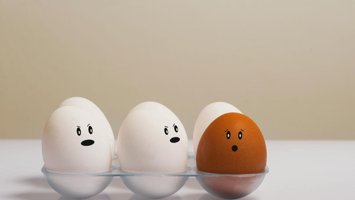 Ovos brancos, marrons e até azulados chamam a atenção nas prateleiras, mas a cor da casca não indica qualidade nem valor nutricional. /Pexels