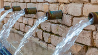 parque da Nascença protege a fonte, mas o crescimento urbano já exige novas decisões