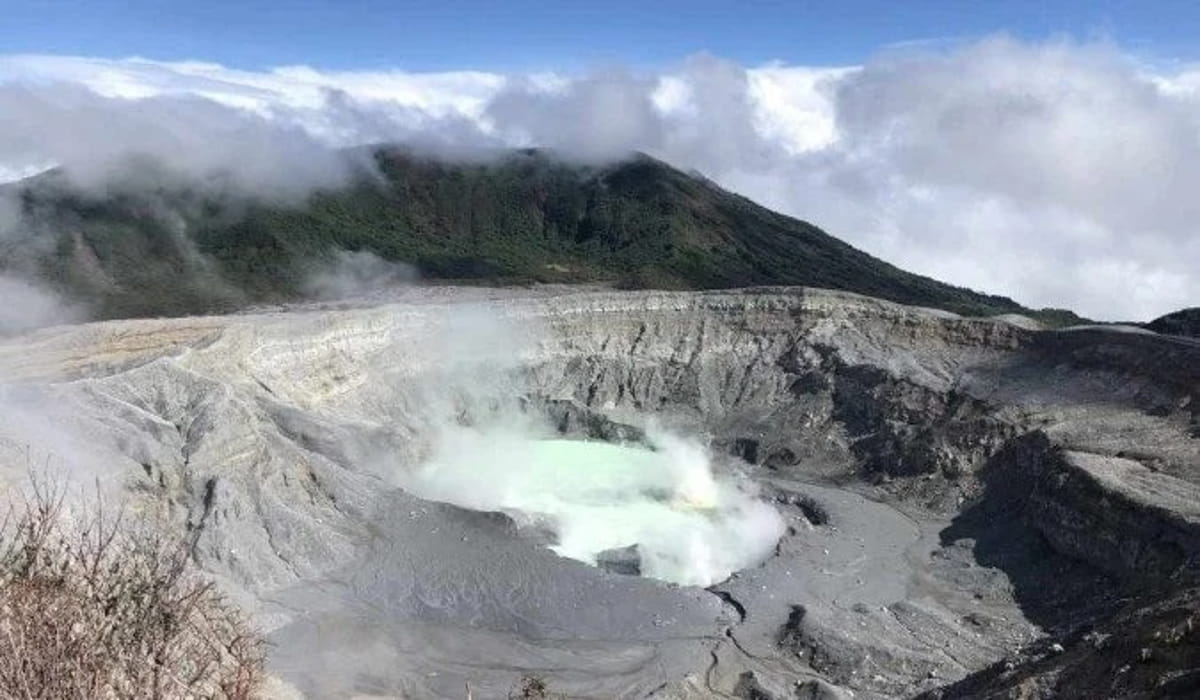 O fechamento é total: nem mesmo funcionários do parque permanecerão na área administrativa até que a estrutura paliativa seja concluída