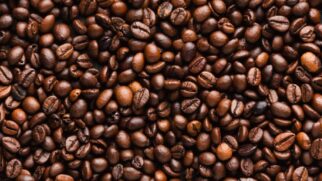 Café puro ou com leite? Ciência define o mais saudável