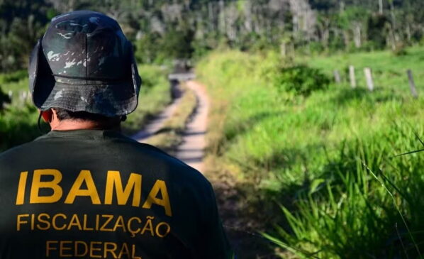 O Ibama reforça que não existem 15 mil vagas abertas no momento e que editais legítimos seguem regras rígidas