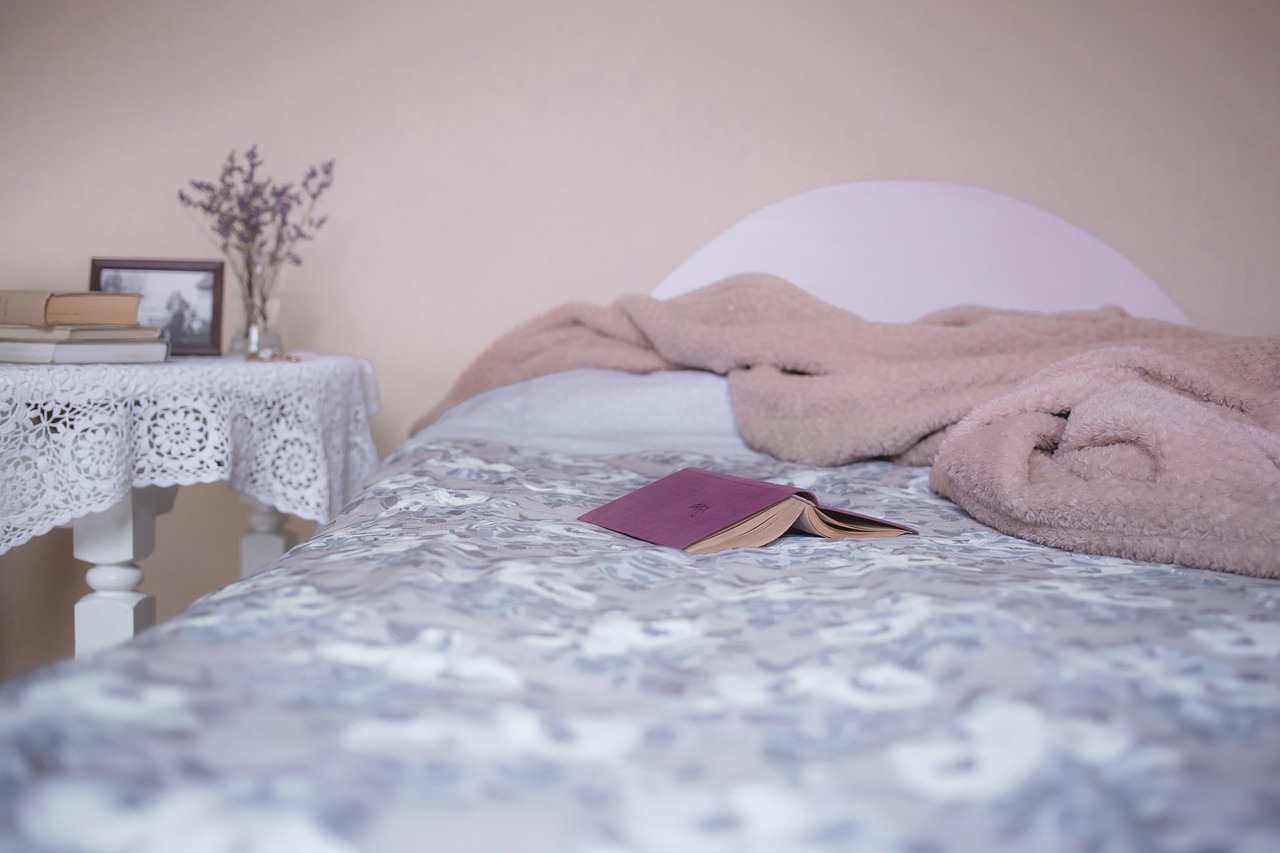 A prática é especialmente indicada para casas com pets, crianças ou em regiões úmidas, onde o mofo e os ácaros tendem a se proliferar /Pixabay